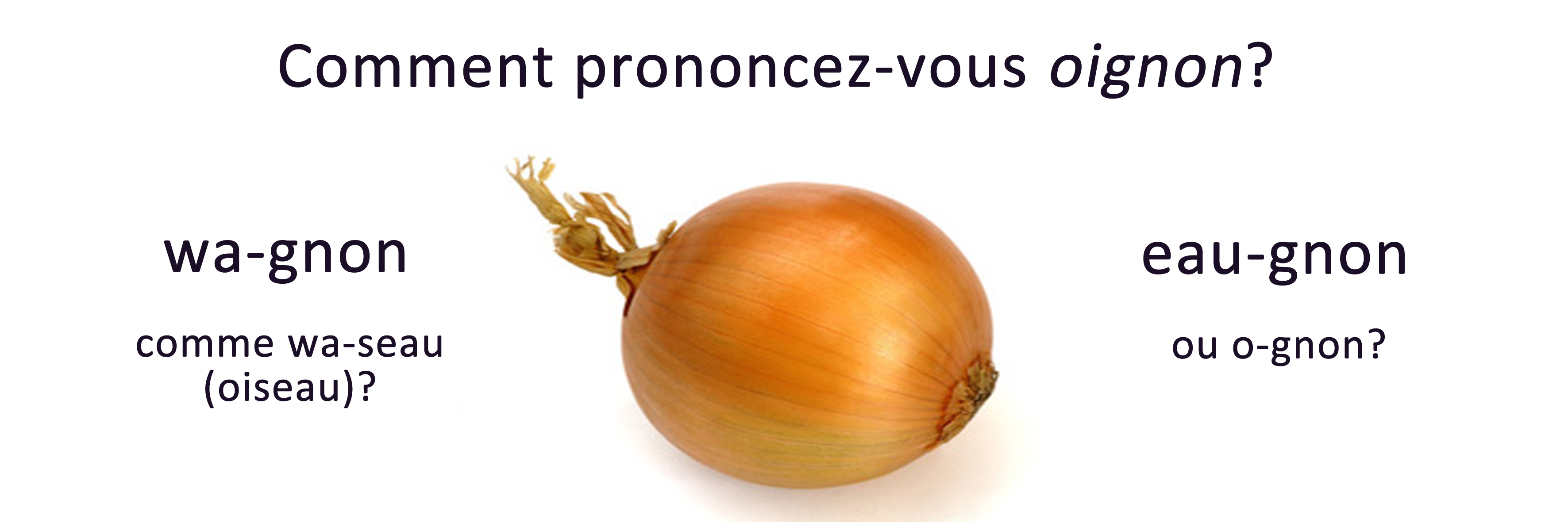 En France, les élèves apprendront à écrire « ognon » et « nénufar »