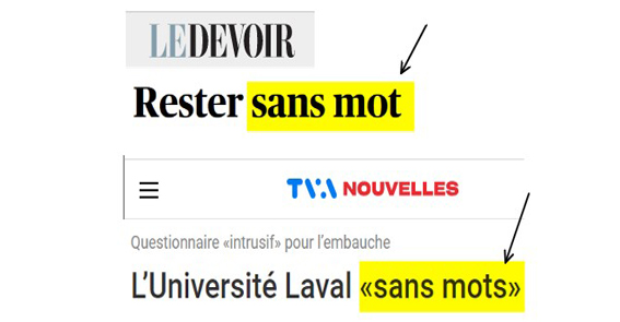 « Sans mot » ou « sans mots »?